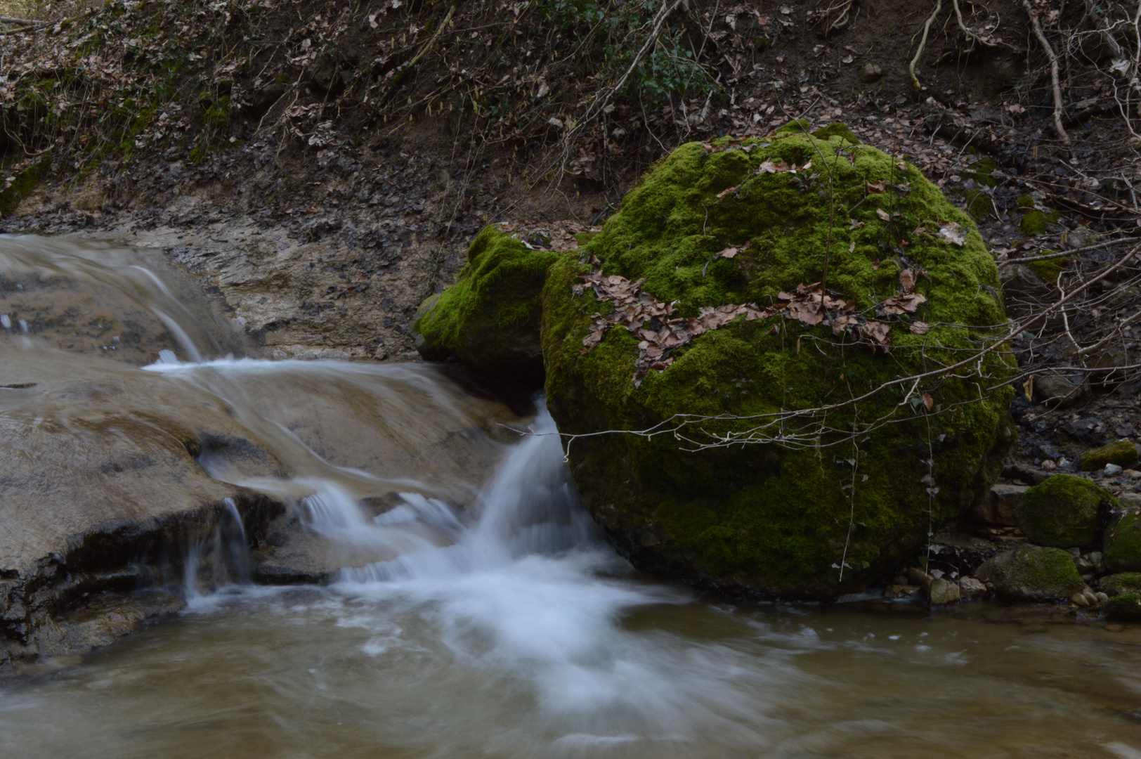 Erlenbacher Tobel 2