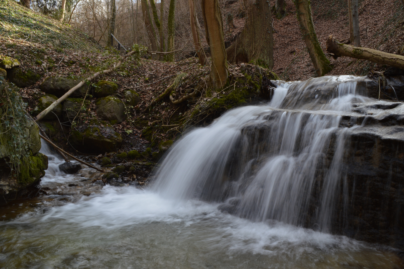 Erlenbacher Tobel 3