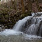 Erlenbacher Tobel 3