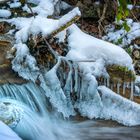 Erlenbachertobel im Winter