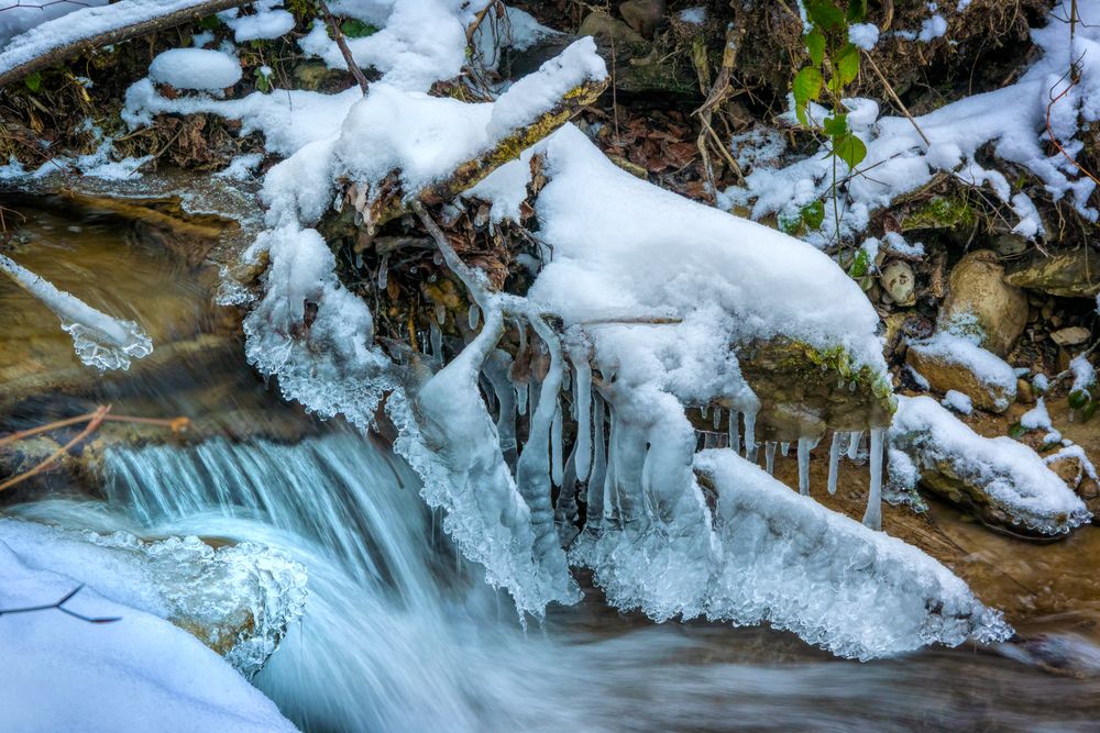 Erlenbachertobel im Winter