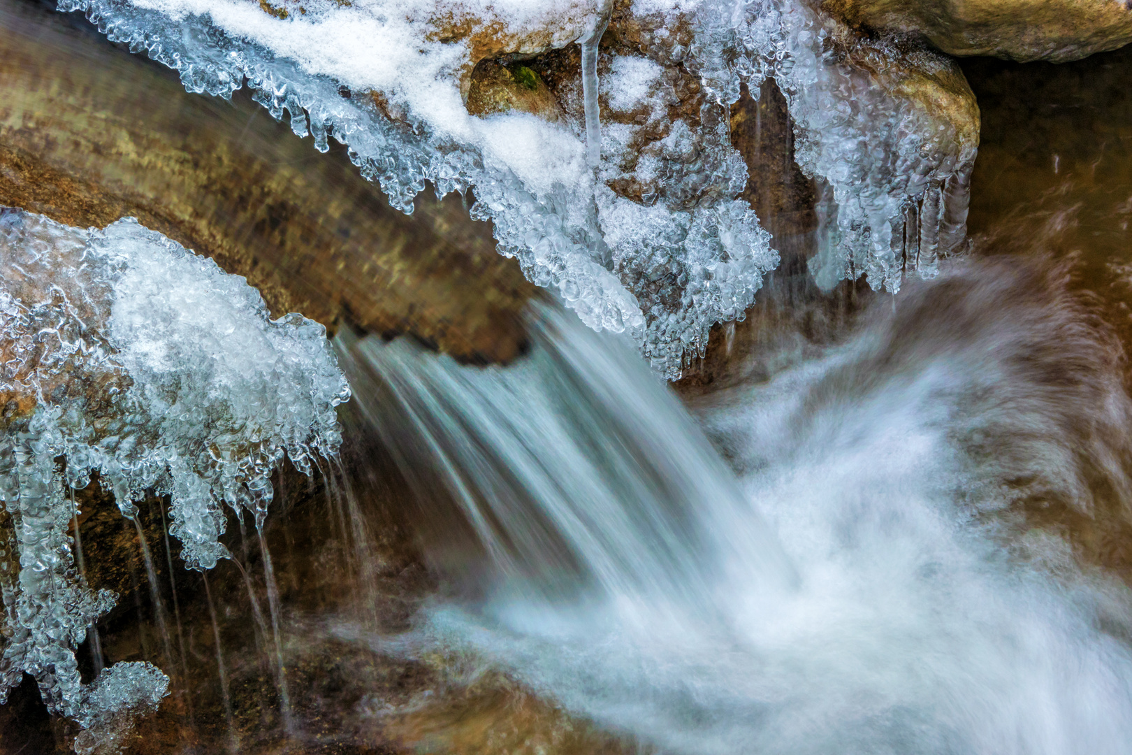 Erlenbachertobel im Winter