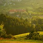 Erlenbad im Abendlicht