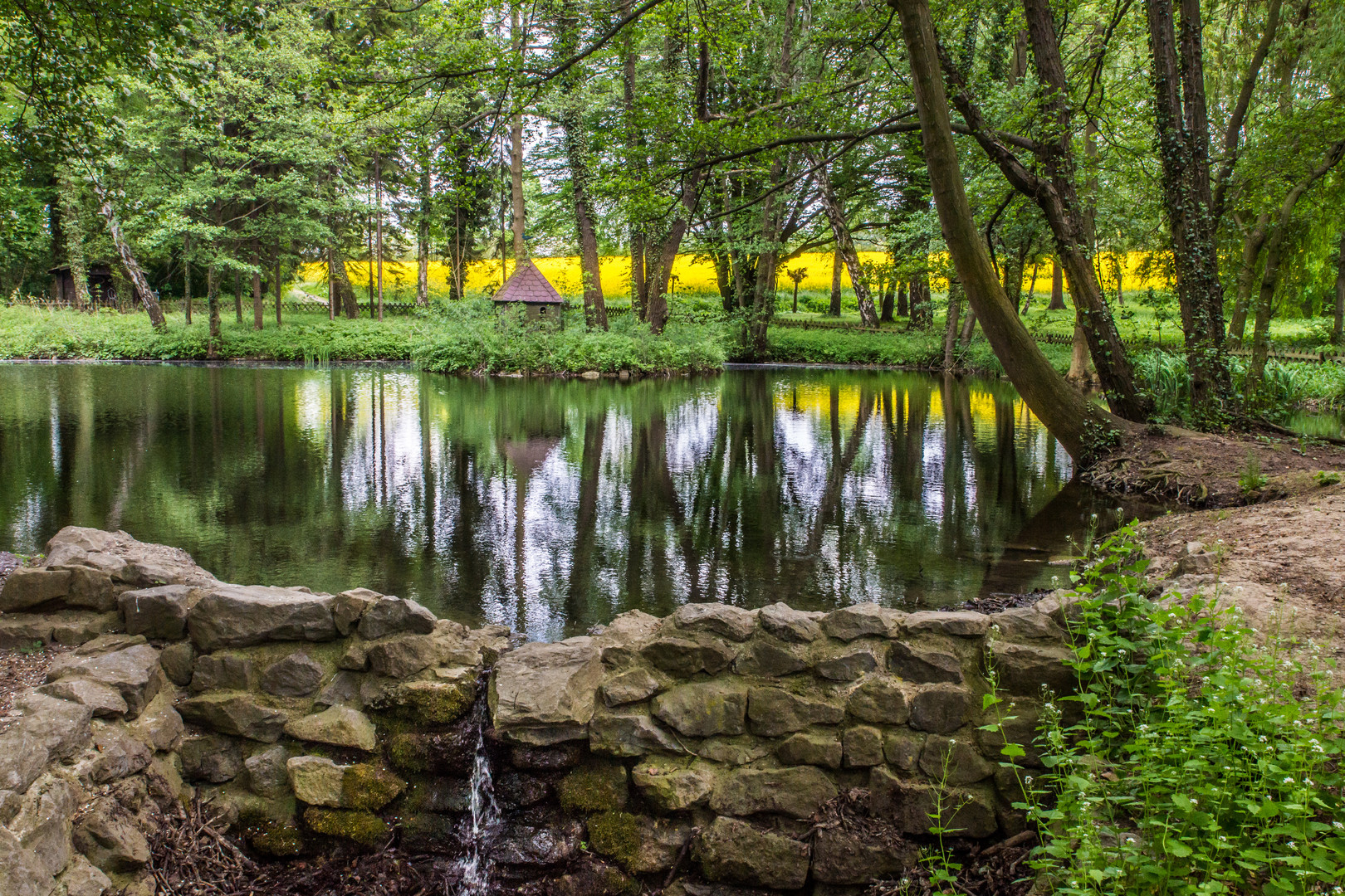 Erlengrundteich - Bad Nenndorf