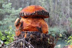 "Erlenholz"-pilz Bild 1