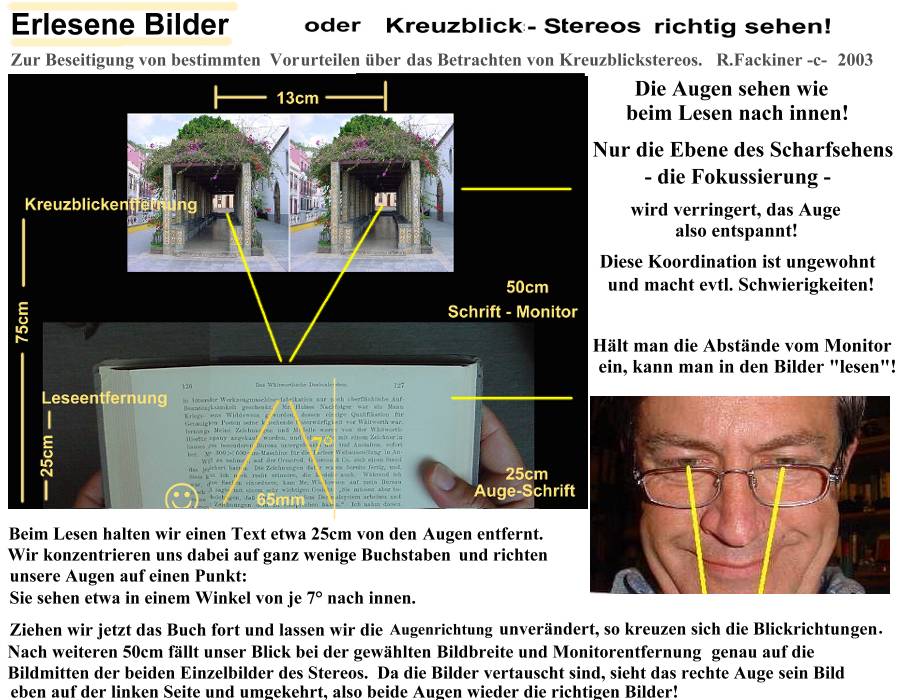 Erlesene Bilder - Kreuzblickstereo