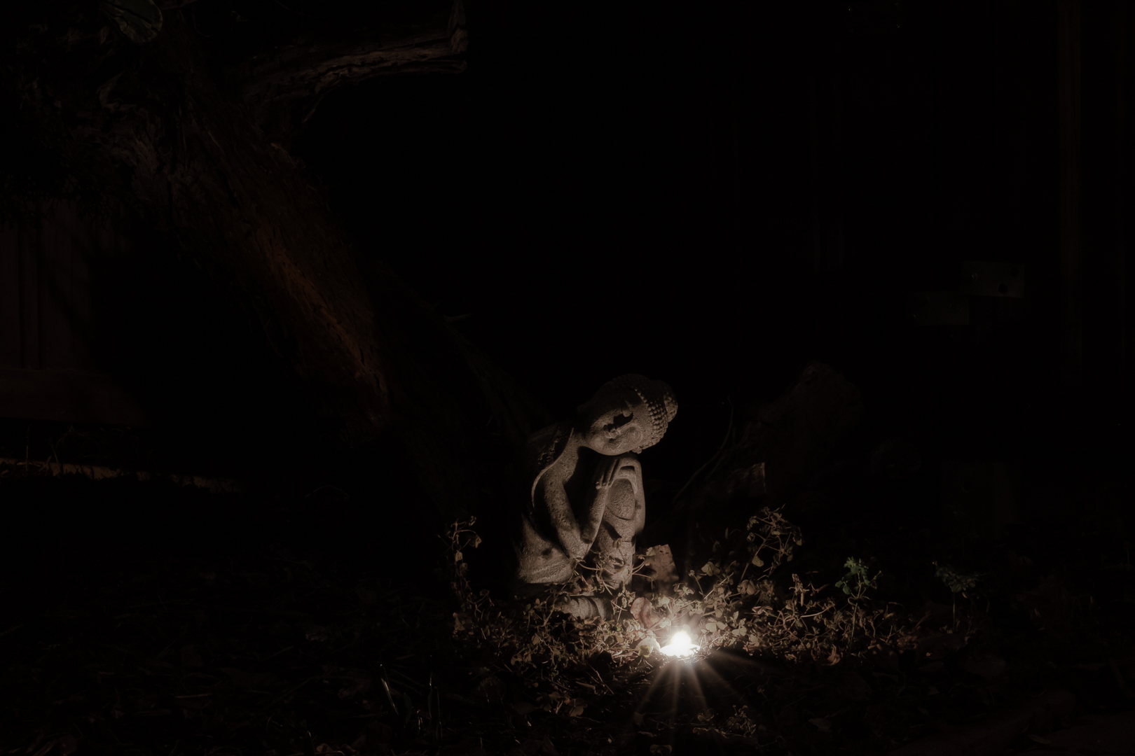 Erleuchtet im Licht