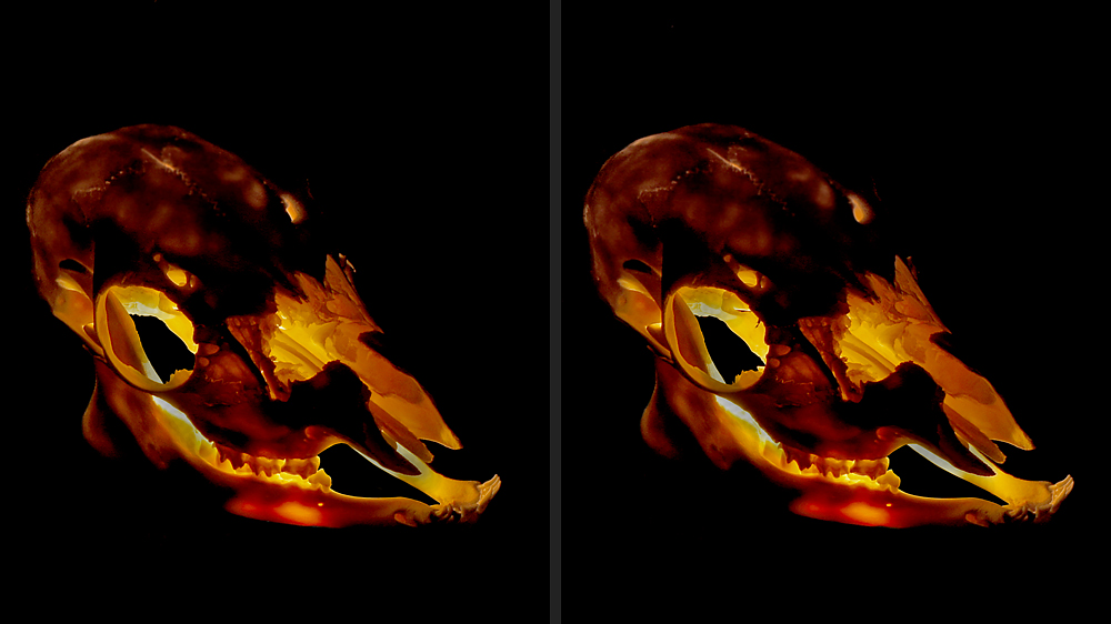 Erleuchtung [3D]