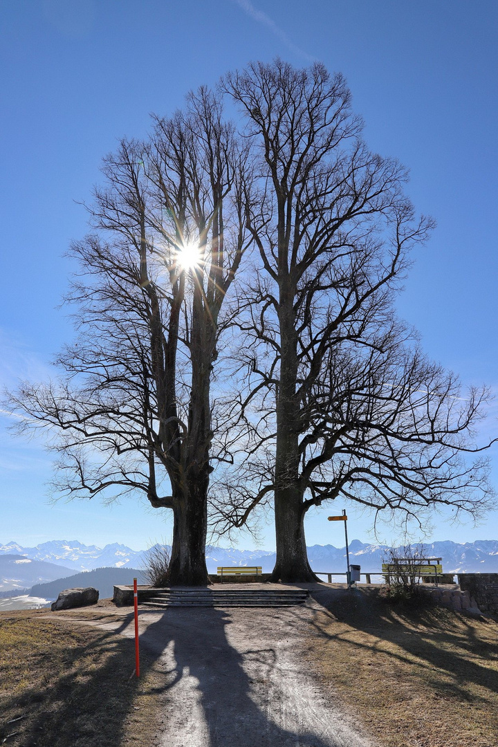 "Erleuchtung" beim Ballenbühl.