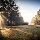 Erleuchtung beim Joggen