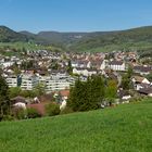 Erlinsbach (AG)