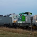Erlkönig einer Siemens Lokomotive
