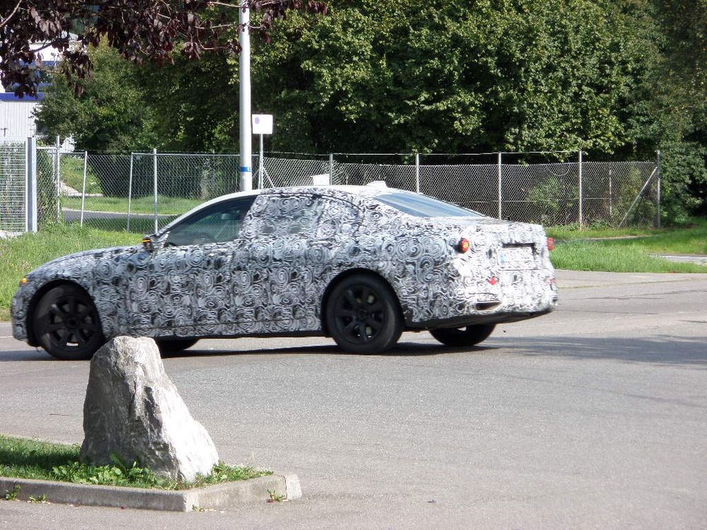 Erlkönig vor meiner Kameraflinte / Bodensee