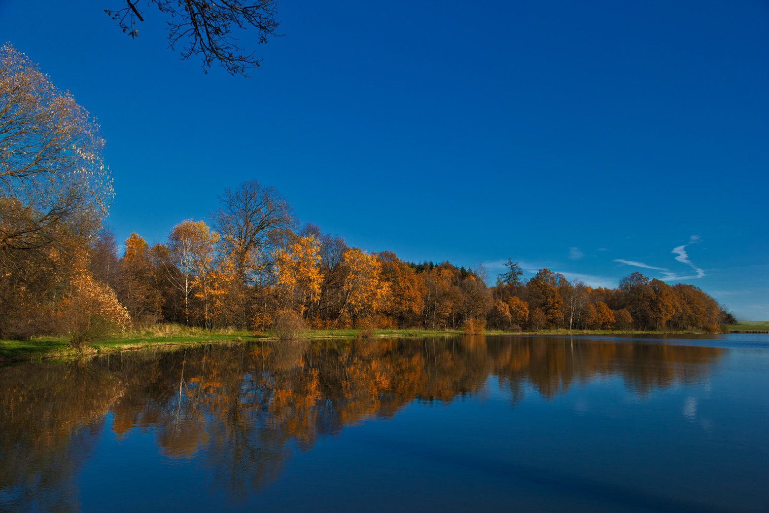 Erlwiesenweiher Wittgenborn