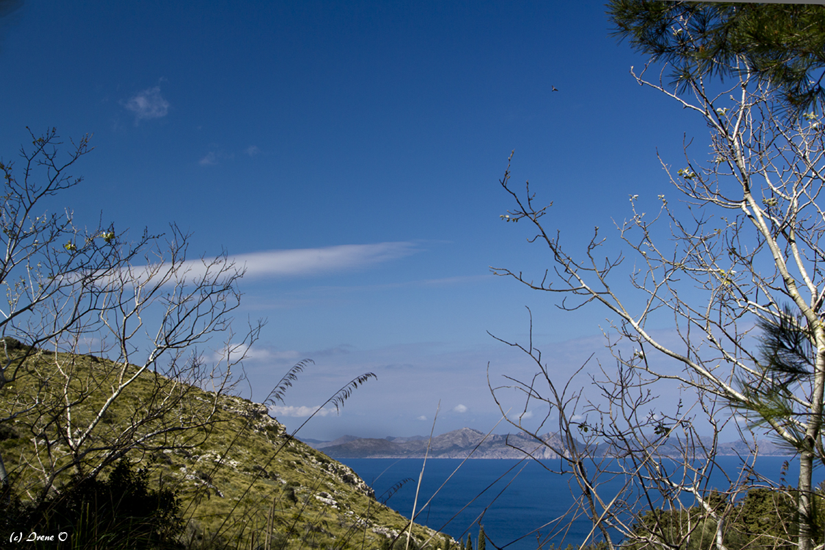 Ermita de Betlem