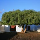 Ermita Nuestra Senora de la Calidad