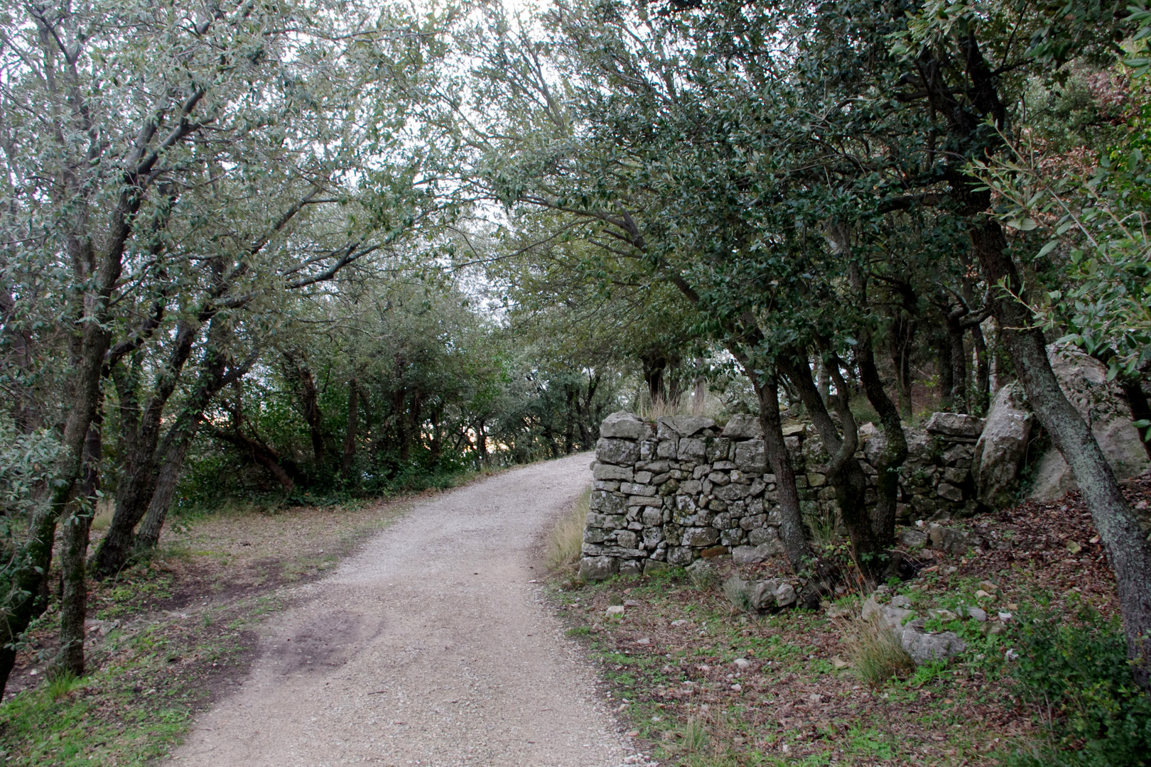 Ermitage de St Jean du Puy .... le sentier