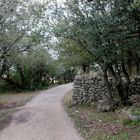 Ermitage de St Jean du Puy .... le sentier