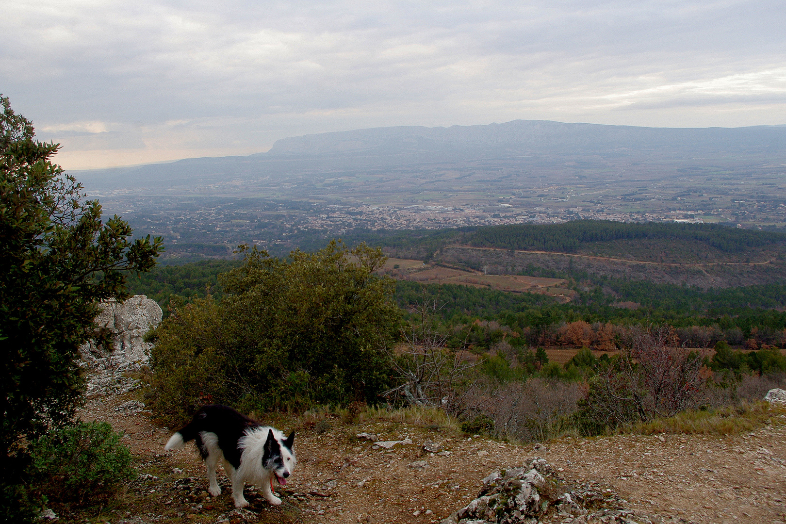 Ermitage de St Jean du Puy : vue sur la vallée de l'arc et la Ste Victoire