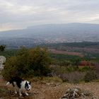 Ermitage de St Jean du Puy : vue sur la vallée de l'arc et la Ste Victoire