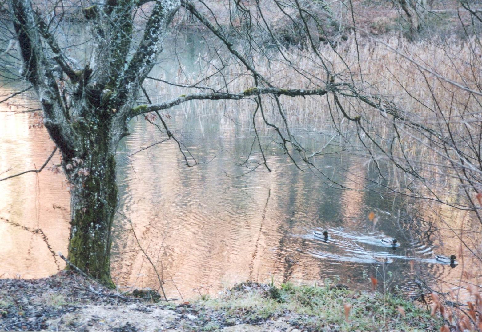 Ermitage im Herbst (1) - Der dritte Teich