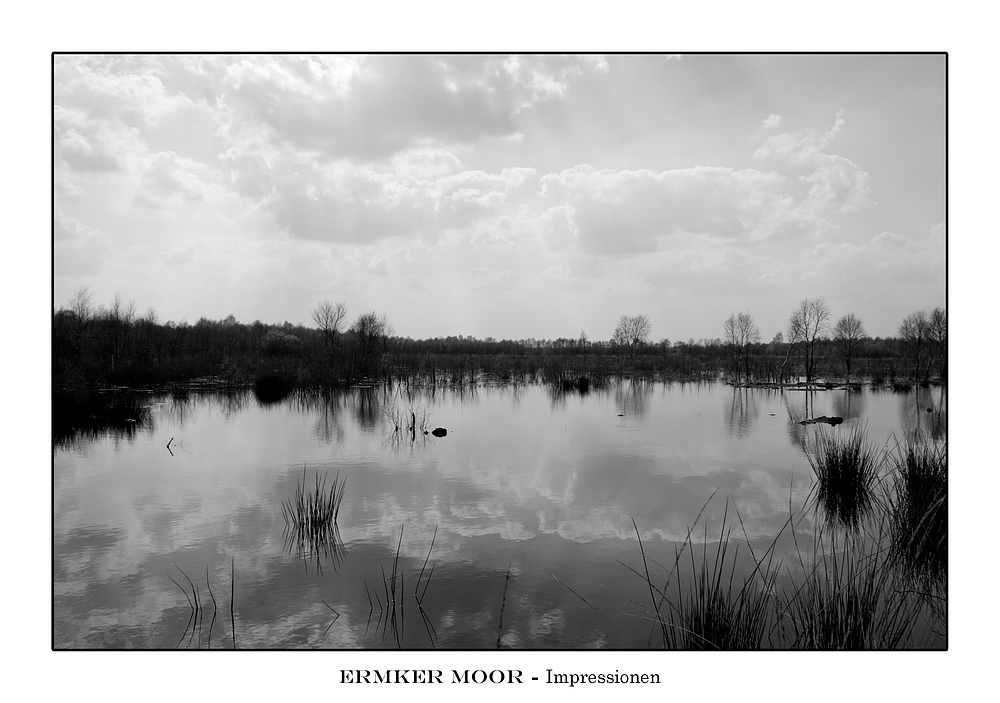 Ermker Moor 002