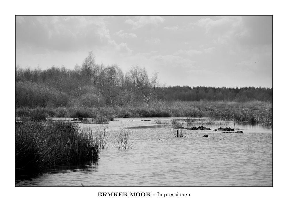 Ermker Moor 003