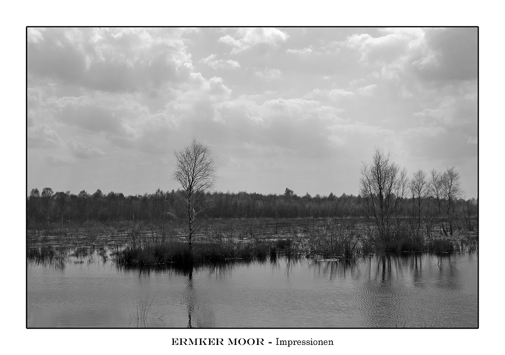 Ermker Moor 004