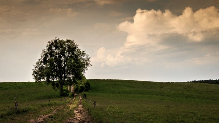 Ermland-Masuren, Warminsko-Masury