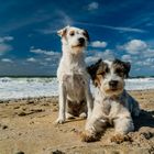 Erna und Adele am Strand