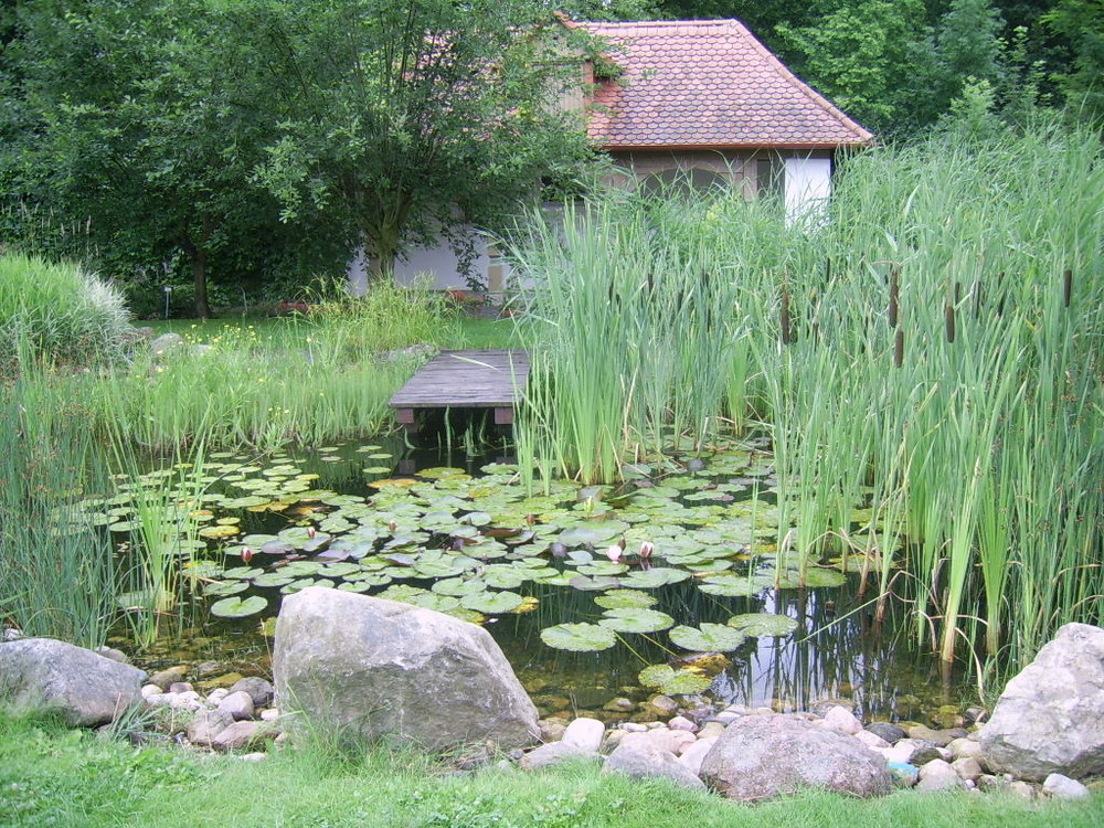 Ernährungsgarten im Kloster in Panschwitz Kuckau