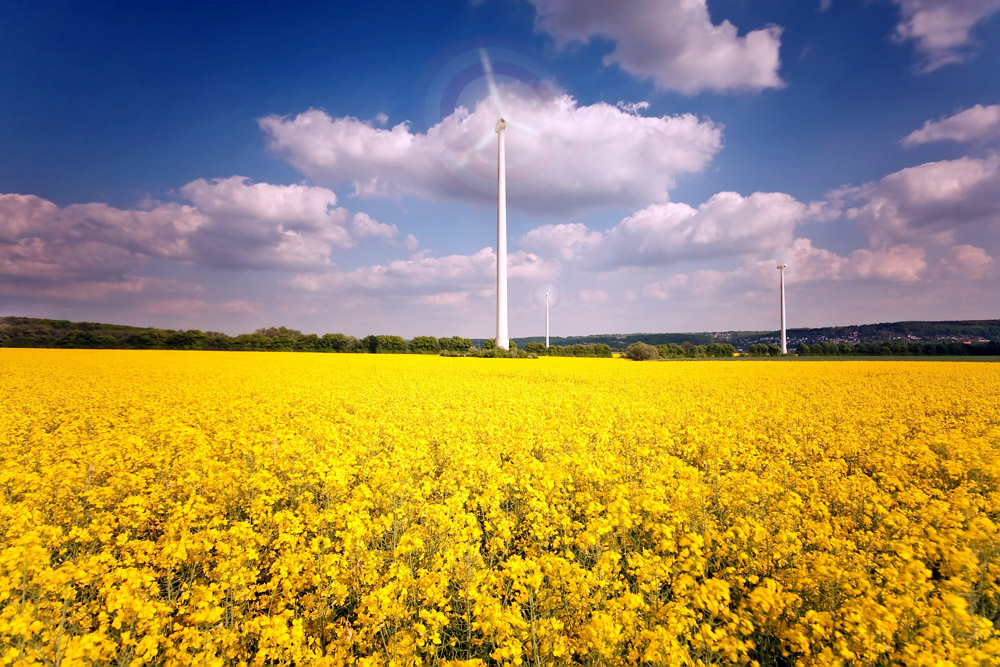 Erneuerbare Energie