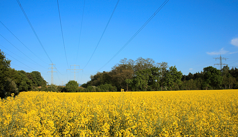 Erneuerbare Energie