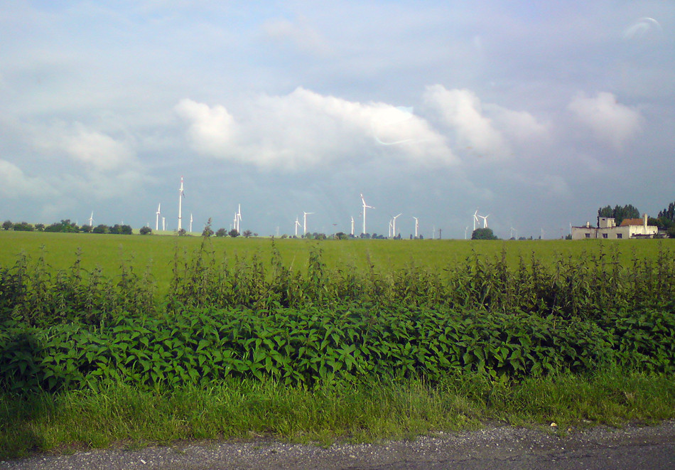 Erneuerbare Energie - jetzt auch in deiner Nachbarschaft