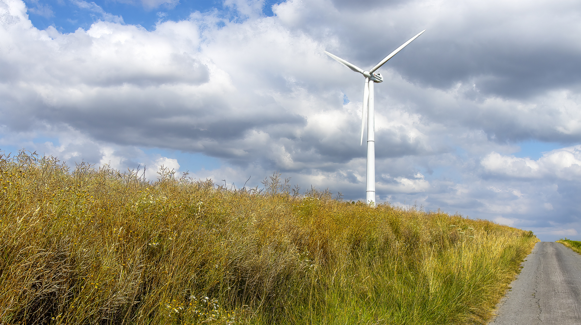 Erneuerbare Energie, Raps und Wind._MG_0027