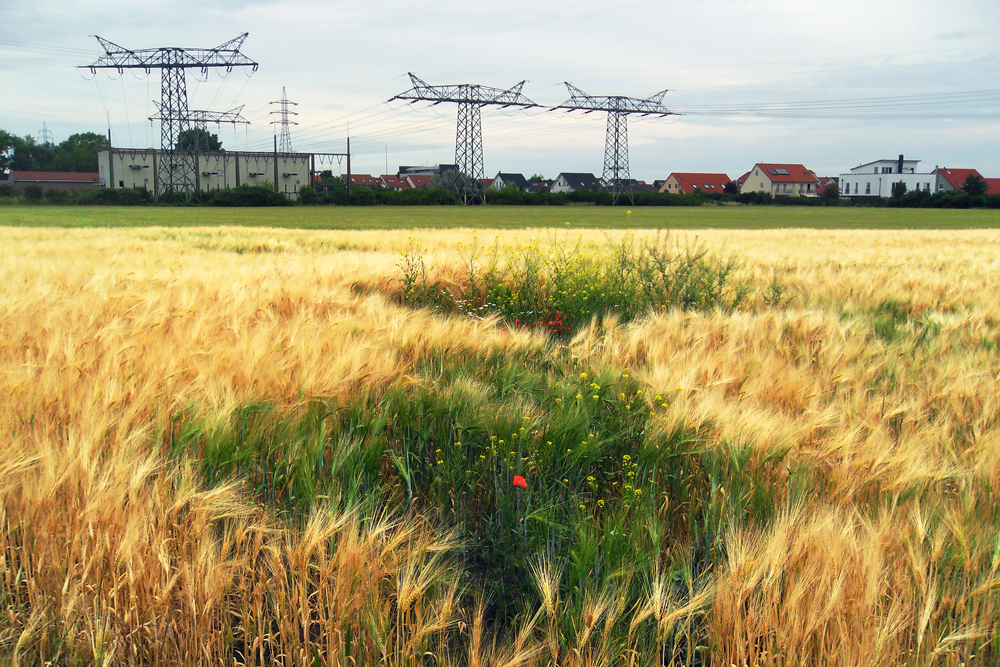 Erneuerbare Energien