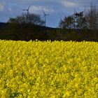 Erneuerbare Energien