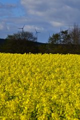 Erneuerbare Energien