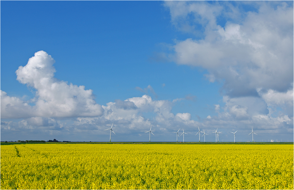 Erneuerbare Energien