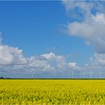 Erneuerbare Energien