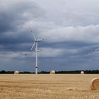 Erneuerbare Energien/Windkraft