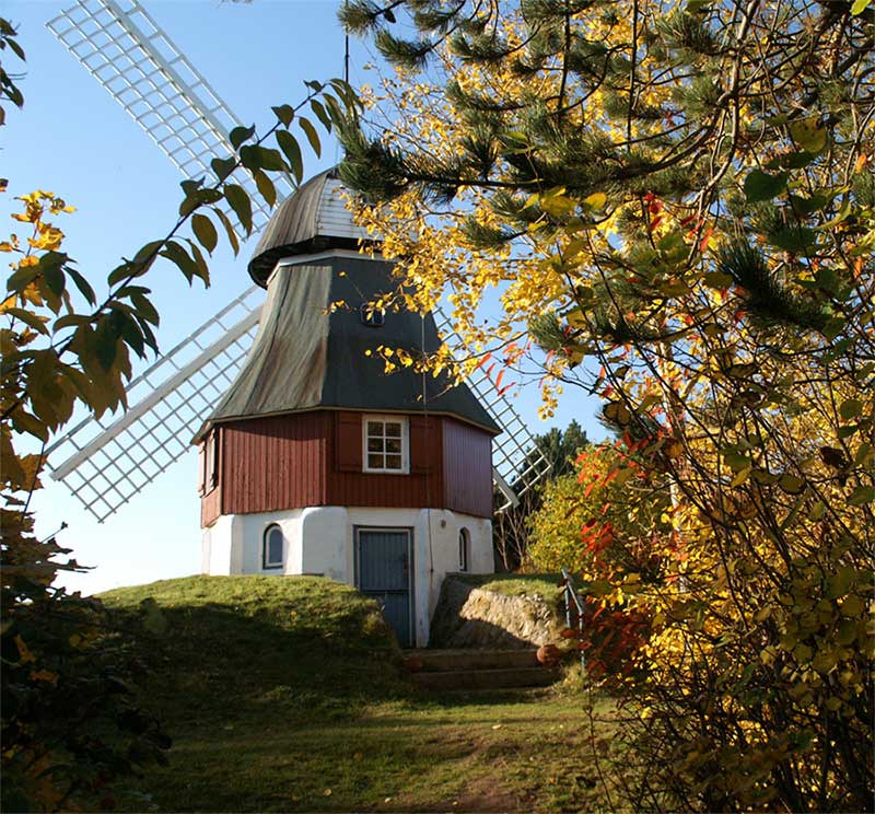 Erneute Begegnung bei Süddorf/Amrum