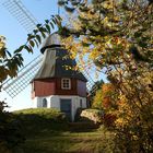 Erneute Begegnung bei Süddorf/Amrum