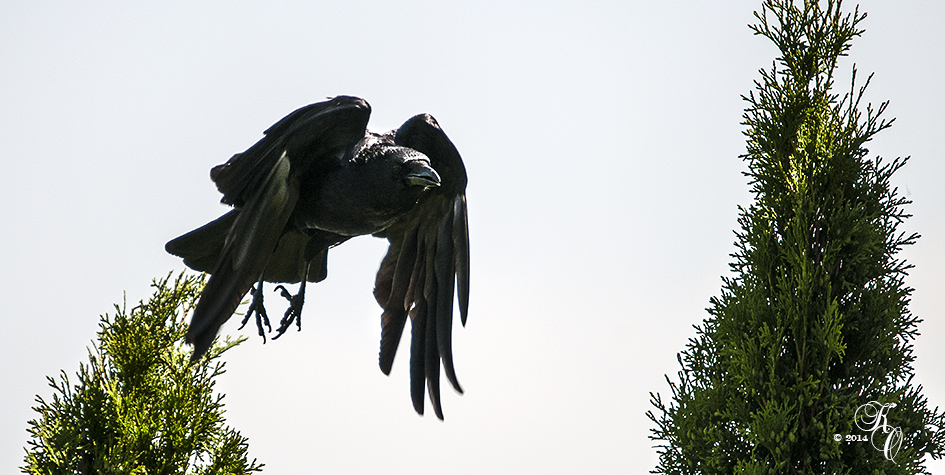 Erneuter Abflug