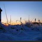 Erneuter Wintereinbruch....