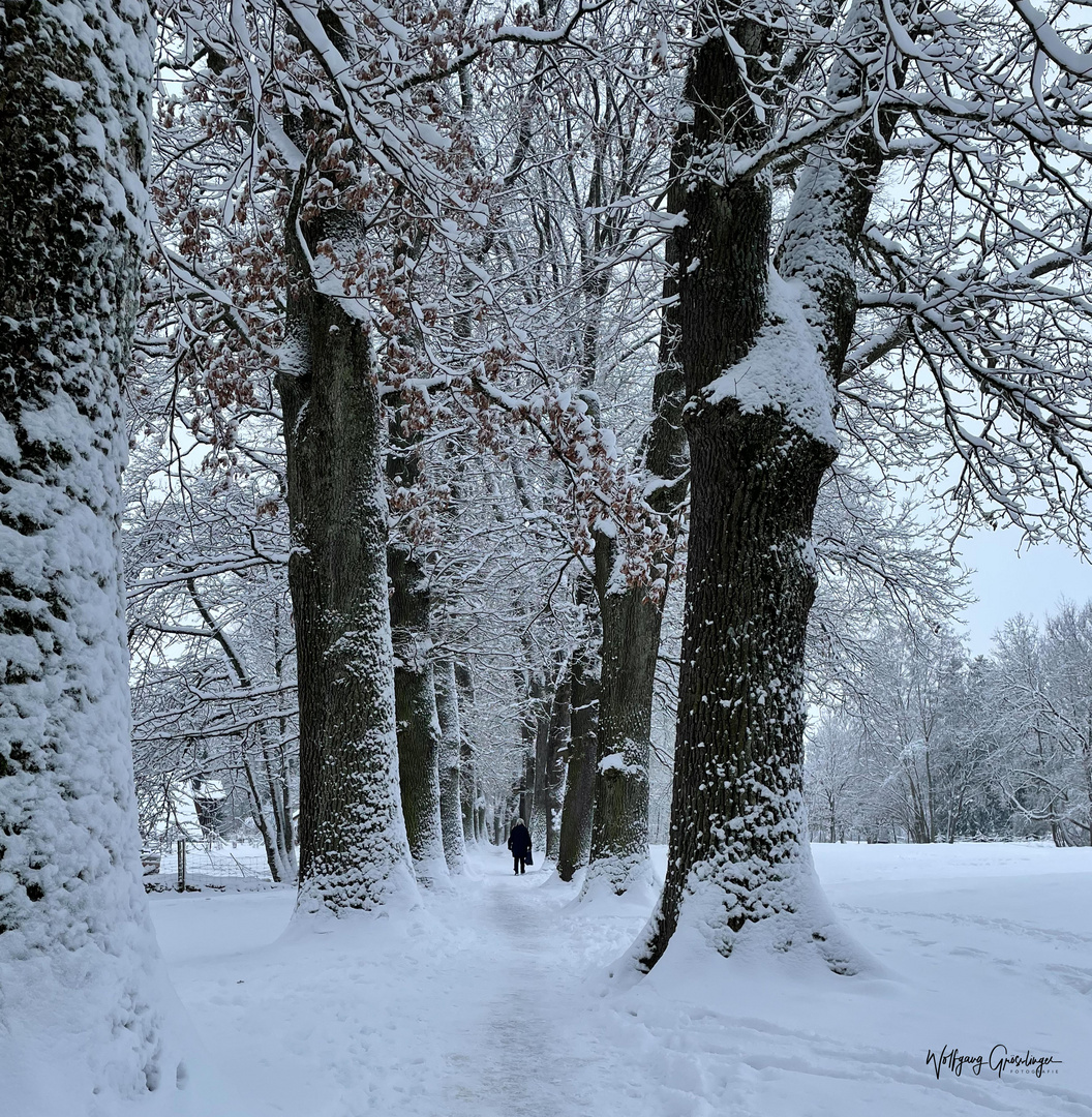 Erneuter Wintereinbruch in Bayern