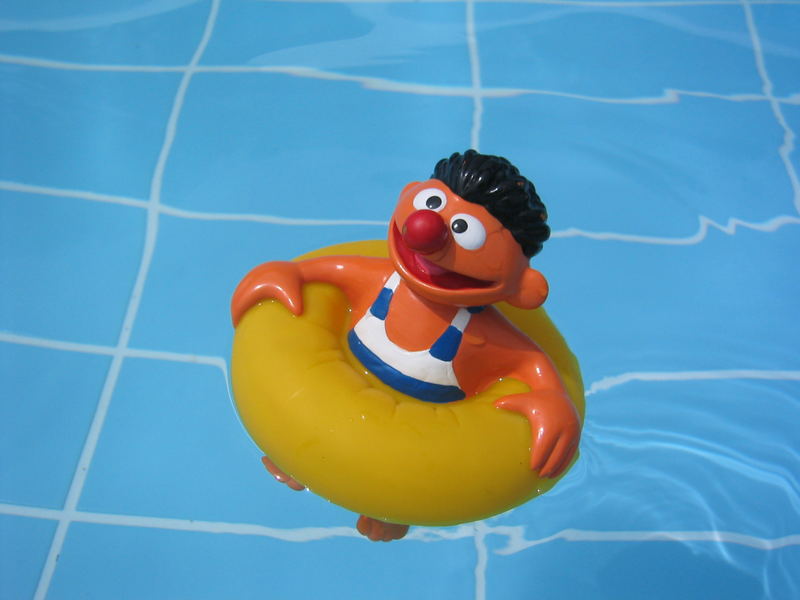 Ernie im Pool