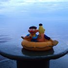 Ernie und Bert auf See