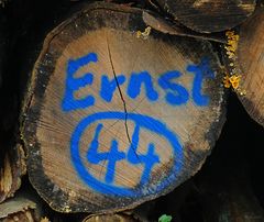 Ernst hat nochmal nachgezählt