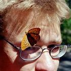 User Profile Photo